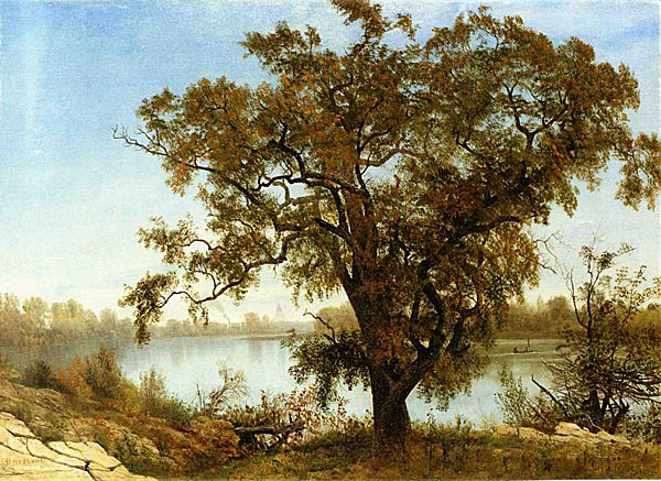 Albert+Bierstadt-1830-1902 (136).jpg